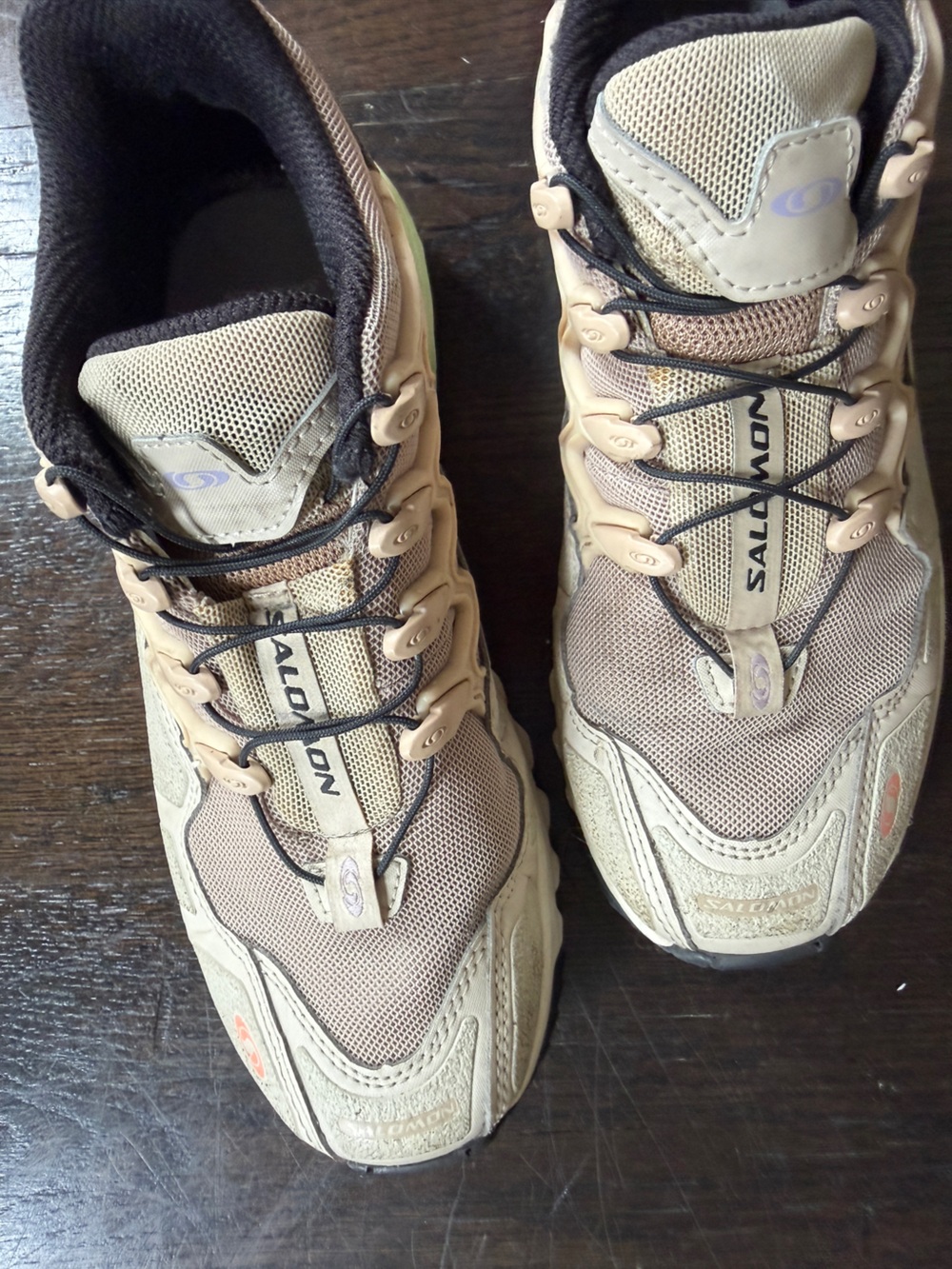 Salomon Acs+ Sneakers
